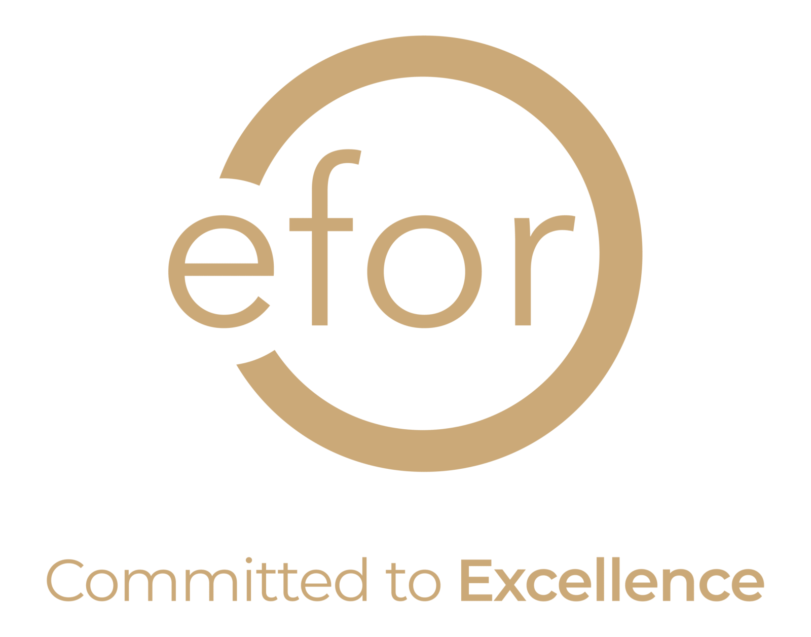 efor logo