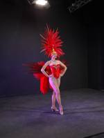 Nos prestations sur le secteur de Lyon 69 Rhône-Alpes